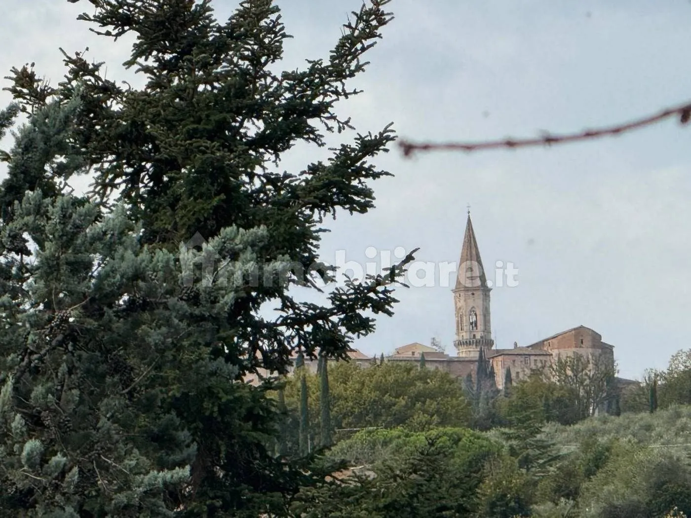 Vista esterna del rustico con terreno circostante